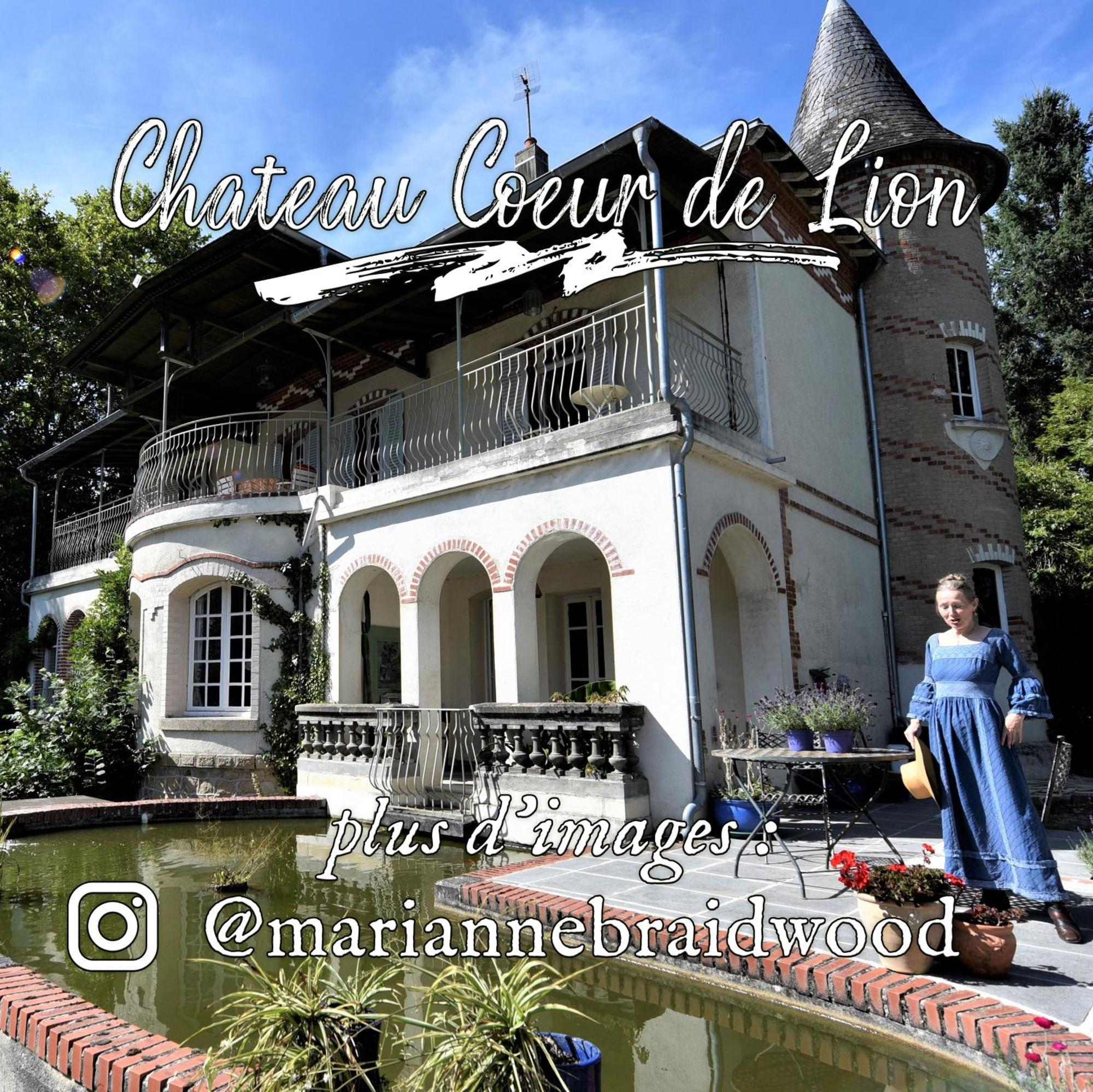 Chateau Coeur De Lion Châteauponsac Zewnętrze zdjęcie