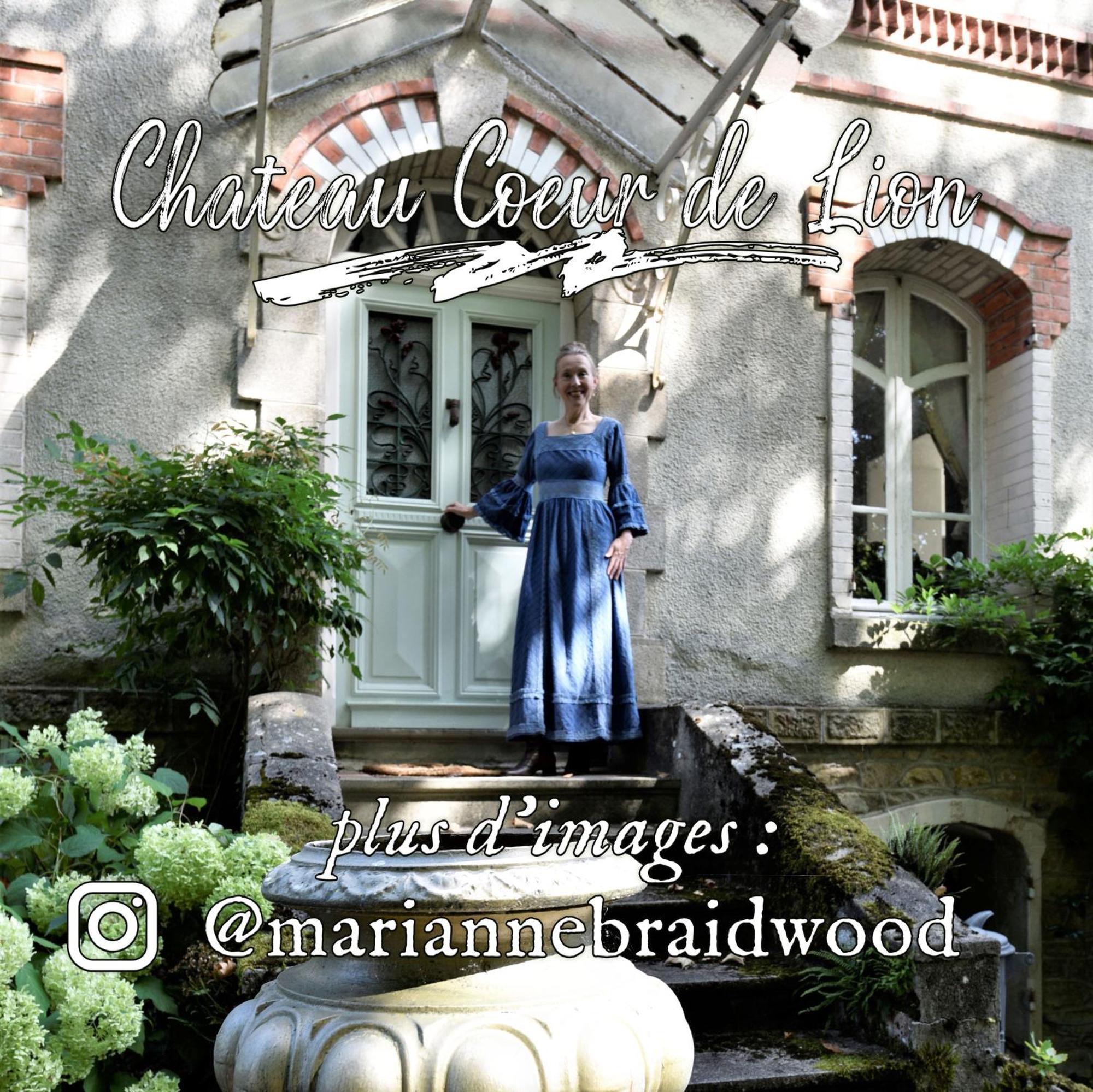 Chateau Coeur De Lion Châteauponsac Zewnętrze zdjęcie