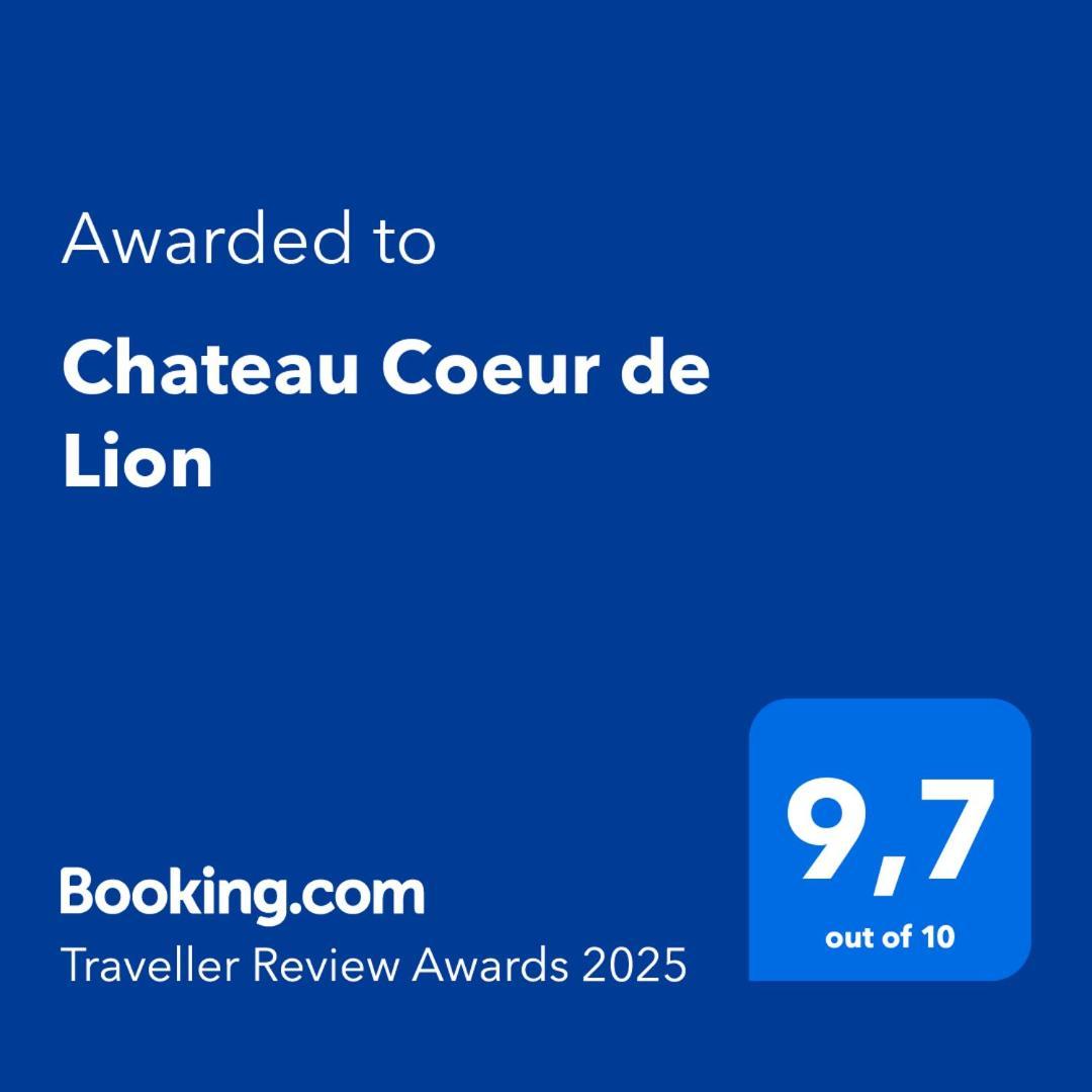 Chateau Coeur De Lion Châteauponsac Zewnętrze zdjęcie